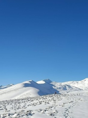 Post storm in the Two Thumbs… a nice little top up and great conditions for our snowshoe trip ❄️😊
📸 D. Henley
#Snowshoeing #SnowshoeAdventures #FreshSnow #FirstTracks #TwoThumbRange #RexSimpsonHut #WinterAdventures #TekapoAdventures #HikeTekapo #AlpineRecreation Two Thumb Range Adventures - Lake Tekapo Snowshoeing - #369