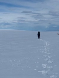 Snowshoeing adventures in the Two Thumb Range last week ❄️🌤️
We made the most of the gaps in spring weather with little top-ups of fresh snow, and Rex Simpson Hut was the perfect cosy base to come back to each evening.
📸 P. Munro
#TwoThumbRange #SnowshoeingNZ #RexSimpsonHut #LakeTekapo #TekapoAdventures #AlpineRecreation Two Thumb Range Adventures - Lake Tekapo Snowshoeing - #372