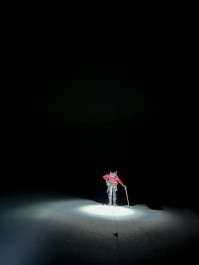 Mount Sefton
An alpine start from our tent camp, weaving through crevasses on the Douglas Glacier as first light crept in. A cold southerly breeze on the NW Ridge, firm frozen snow underfoot, and the western side of the Main Divide stretching north in perfect clarity — Aoraki front and centre.
Quick glacier travel in crisp conditions, then slow, deliberate footwork across the summit ice cap, glassy sastrugi demanding full attention. Nine pitches on solid anchors to round out a proper alpine climb.
Sefton doesn’t get guided often; conditions and weather need to align perfectly, the walk-in access is long and difficult — even fly-in access is no guarantee, as weather can change quickly and you’re exposed to the elements.
A great day out with Nina on a beautiful, understated peak. She’d had Mount Sefton in her sights for a long time — and after plenty of planning, patience, and reshuffling, we managed to achieve her dream.
📸 @elke_mountain_guide
#MountSefton #GuidedAscent #SouthernAlps #AorakiMountCook #NewZealandAlps #Mountaineering #AlpineClimbing #NZMountains #MainDivide #DouglasGlacier #AlpineStart #Alpinism #Crampons #IceAxe #Sastrugi #GlacierTravel #ClimbNZ #MountainAdventure #AlpineRecreation #NZMGA #WeAreIFMGA #GuideLife - New Zealand Alpine Climbing, Mountaineering Instruction & Guided Ascents - #402