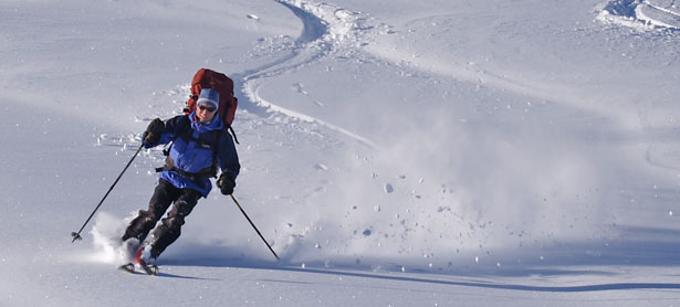 http://www.alpinerecreation.com/images/ski/ski_kelman.jpg